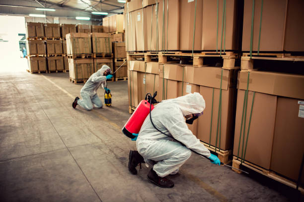 Wasp Removal Services in Mira Monte, CA