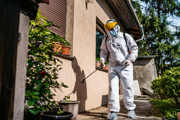 Best Wasp Removal Services  in Mira Monte, CA