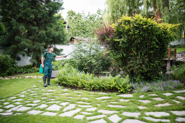 Best Pest Control Near Me  in Mira Monte, CA