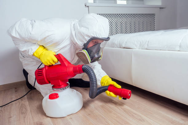 Flea Control Services in Mira Monte, CA
